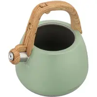 Klausberg 9039 - Fluitketel met fluit - 2.5 liter - RVS - groen