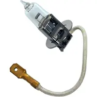 XL 132307 Gloeilamp, verstraler