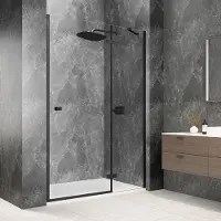 Polysan Globe nisdeur met vast paneel 120cm helder glas rechts zwart mat
