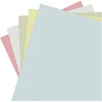Antistat 607-0002 607-0002 Cleanroom-papier ESD DIN A4 250 stuk(s) Roze