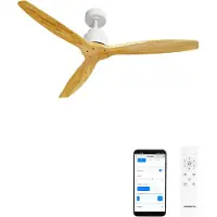 Create - Stille plafondventilator van 40 W met technische ABS-bladen, verkrijgbaar in verschillende maten - M - Geen licht - WIFI - WIND STYLANCE