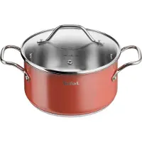 Tefal RVS Kookpan met Anti-aanbaklaag, 2.9L, 20cm