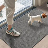 Famanu – Binnendeurmat 43 x 75 cm, antislip deurmat, wasbare vuilvangmat, absorberend entreemat voor binnenshuis, lichtgrijs
