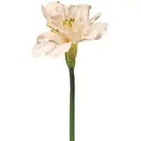 Buitengewoon Boet Hippeastrum aline roze/groen 63 cm kunstbloem Buitengewoon de Boet