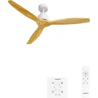 Create - Stille plafondventilator van 40 W met technische ABS-bladen, verkrijgbaar in verschillende maten - M - Geen licht - Controller voor wandmontage - WIND STYLANCE