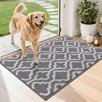 Famanu – Deurmat voor binnen, 60 x 90 cm, wasbare vuilvangmat met antislip functie, ideaal voor de huisdeur en hal, grijs