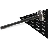 RIDEX 1270O0048 Uitlaatklep