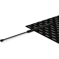 RIDEX 219G1347 Gasveer achterklep
