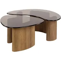 Nest of Nora Salontafel Arlen - Organische vormen set van 2 - Brons glas