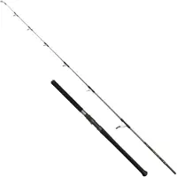 Penn Regiment Iv Offshore Spinning Rod Zilver 2.49 m / 20-150 g