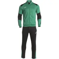 Joma Danubio Tracksuit Groen S Man