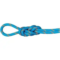 Mammut - 8.7 Alpine Sender Dry Rope - Enkeltouw 70 m, blauw