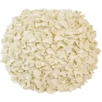 Light & Living Light&living Vaas deco 46x22x36,5 cm VELINA crème