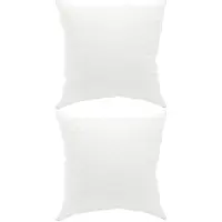 vidaXL Hoofdkussen FULDA 2 st 50 x 50 cm 100% Ganzendons en veer Wit