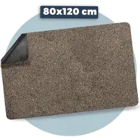 Pasper Deurmat binnen droogloopmat - 80 x 120 cm - Beige - zonder boord - Gemaakt in België - Wasbaar - Deurmatten