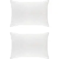 vidaXL Hoofdkussen FULDA 2 st 40 x 80 cm 100% Ganzendons en veer Wit