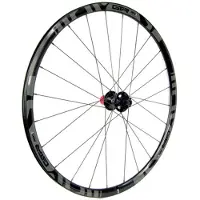 Gtr Rr17 Cl Disc Tubeless Achterwiel Racefiets