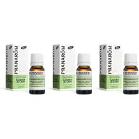 Pranarôm Essentiële Olie Chinese Kaneelboom Bio 3x10 ml Etherische olie