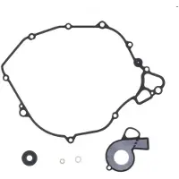 Athena P400270470020 Reparatieset Voor Waterpomp