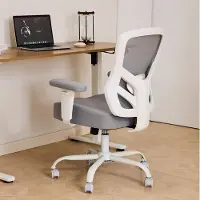OKWISH Bureaustoel – Ergonomisch – Verstelbare 2D Armleuningen En Lendensteun – Voor Thuiswerk En Kantoor – Netweefsel – Grijs