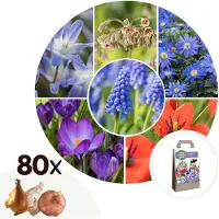 Plant in a Box Blije Bij - Set van 80 - Anemon Chionodoxa Muscari Nectar.Tulipa - Bloembollen