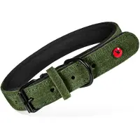 Zolux expert halsband hond premium leer/neopreen groen 80x3 cm