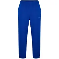 Lacoste Unisex Trainingsbroek Regular voor Volwassenen (Blauw)