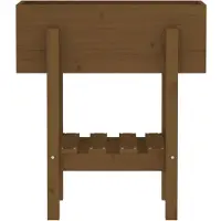 vidaXL Plantenbak 62x30x69 cm massief grenenhout honingbruin