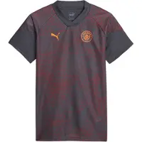 Puma Unisex trainingsshirt voor volwassenen van Manchester City FC (Grijs)