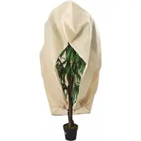 vidaXL Plantenhoezen met ritssluiting 2 st 70 g/m² 1x1,55 m