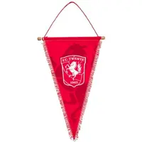 Castore FC Twente puntvaan / vaan 40 x 26 cm