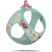 Curli Hondentuig Clasp Vest Harness Juicy Fruits Turquoise LE26 Maat XXXS 27-30 cm