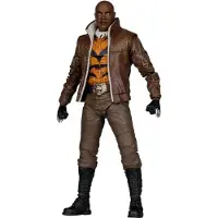 Mcfarlane Toys DC Multiverse - Actiefiguur - Bronze Tiger 7in