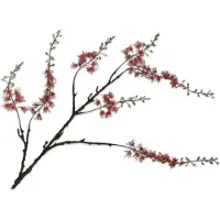 Silk-ka Kunstbloem-Zijden Capparis Tak Oranje 131 cm