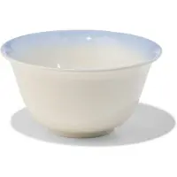 HEMA Schaaltje ⌀14.5cm aardewerk kleurverloop (blauw)