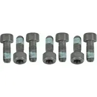 SACHS Schroevenset vliegwiel 1874 000 054