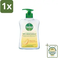Dettol 1 x - Handzeep - Antibacterieel - 100% Natuurlijke Oliën - Citrus - 250 ml- Handzeep - Antibacterieel - Natuurlijke Oliën - Citrusgeur - Handhygiëne