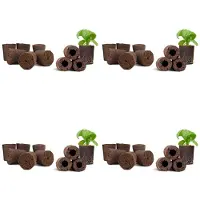 Exogio 64X Plant Kweeksponzen voor Tuin Hydrocultuur Indoor Garden Slimme Spons met Voedingsstoffen, Vervangende Kweekpod