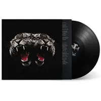 Royal Blood LP - Dead Company - voor Geen - standaard | Maat Standard