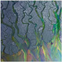 Import Alt-J - An Awesome Wave (LP) (Coloured Vinyl)