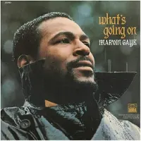 Universal Music Marvin Gaye - What's Going On (LP)