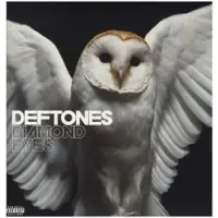 Warner Diamond Eyes