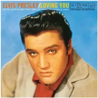 MUSIC ON VINYL LOVING YOU
