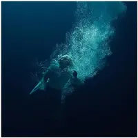 XL RECORDINGS THROUGH WATER
