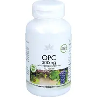 Warnke Vitalstoffe GmbH HERBADIREKT OPC 300 mg capsules, gemaakt van druivenpitextract, 120 capsules