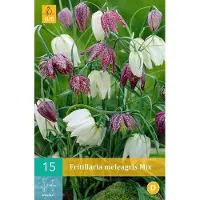 JUB Fritillaria meleagris mix - kievitseitjes - set van 15 stuks