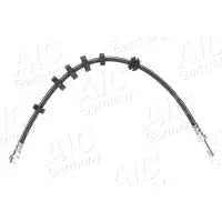 AIC 73925 Remslang