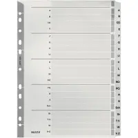 Leitz Register Karton