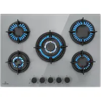 Klarstein Firetale gaskookplaat 5-pits 70 cm aluminium brander incl. slang en drukregelaar
