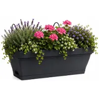 Eda Romeo balkon bloempot / plantenbak - kunststof - antraciet - 28 x 19 x 13 cm - met ophangbeugels